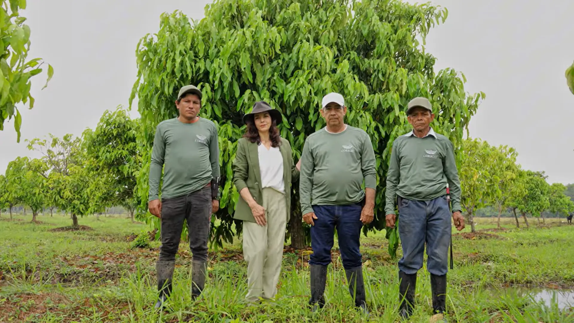 Origen del aceite de Cacay L'ORICAY en la Orinoquía colombiana