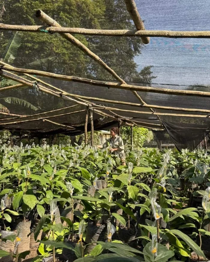 Mapa de trazabilidad del producto L'oricay