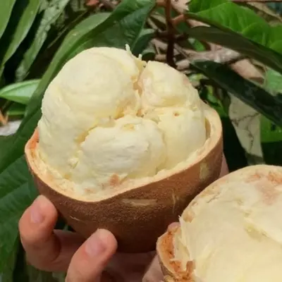 Mantequilla de Copoazú